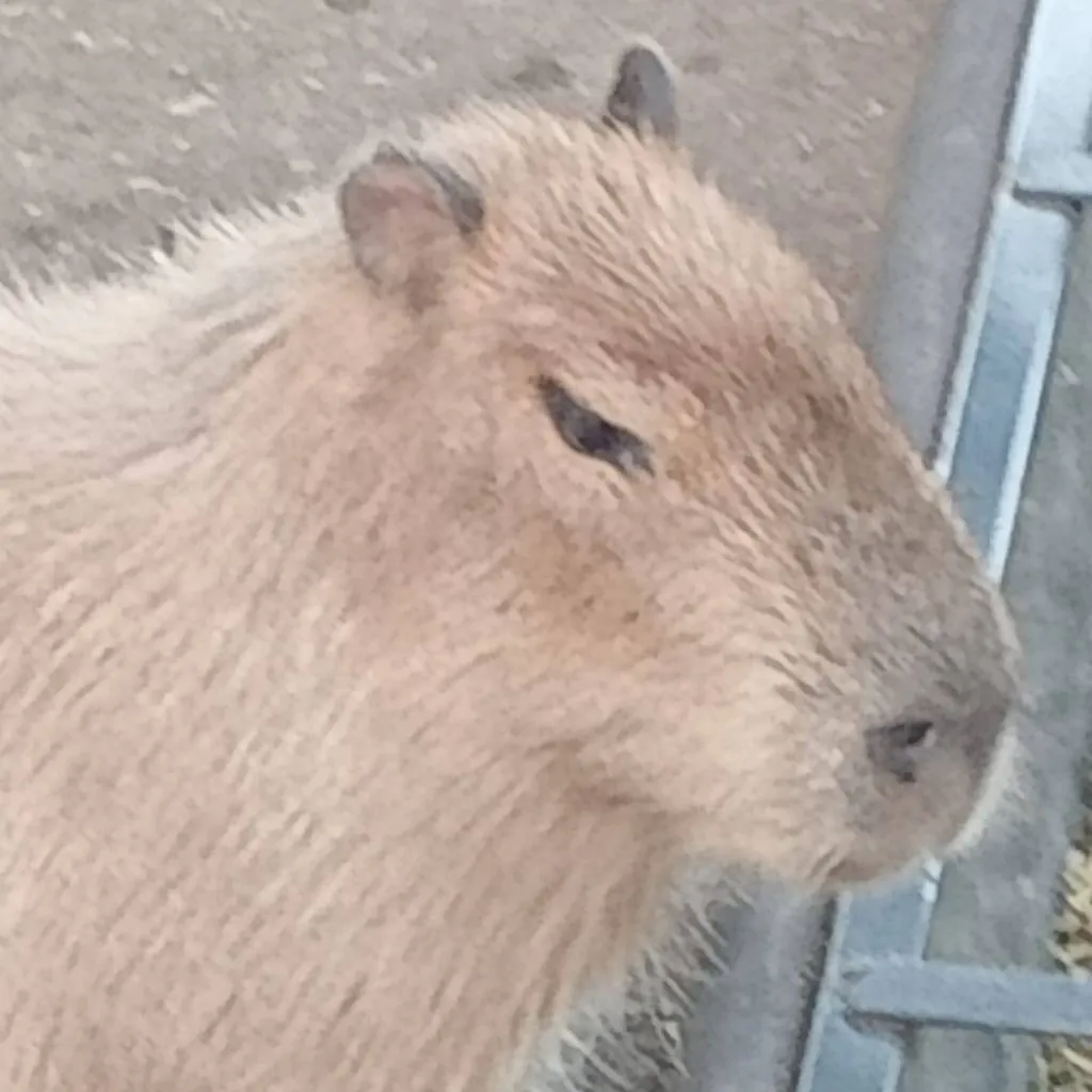 chat with ai character: All of us are dead