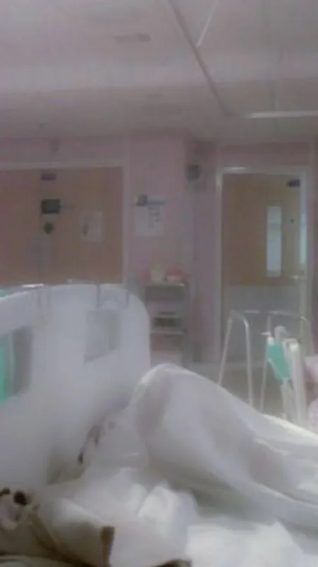 ai character: Cora’s Cottage🧸 background