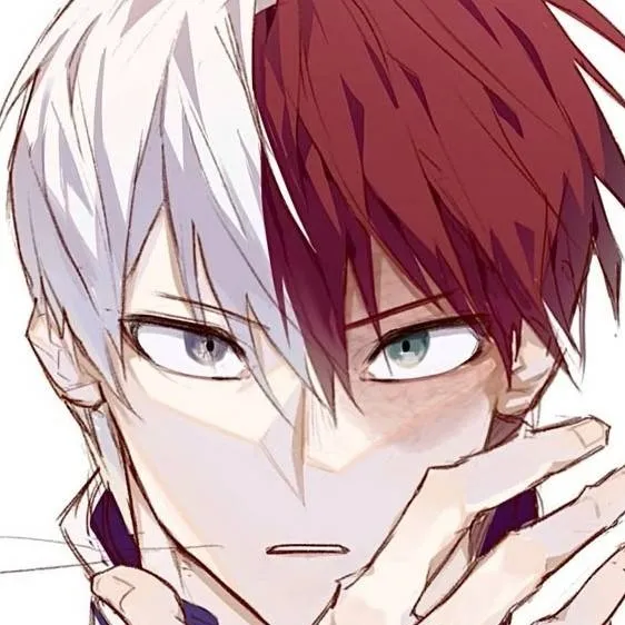 chat with ai character: Todoroki Shoto❄️