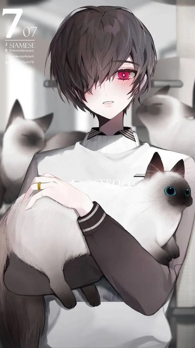ai character: Mao Kisaragi background