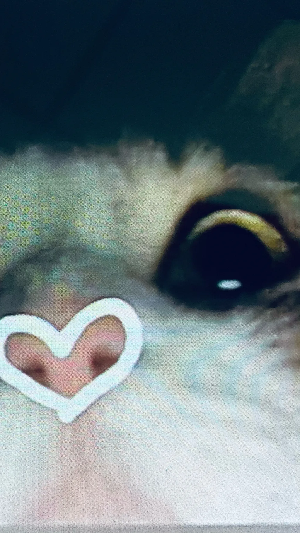 ai character: Kitty background