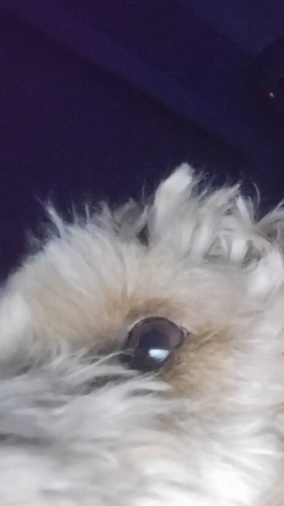 ai character: hogwarts background