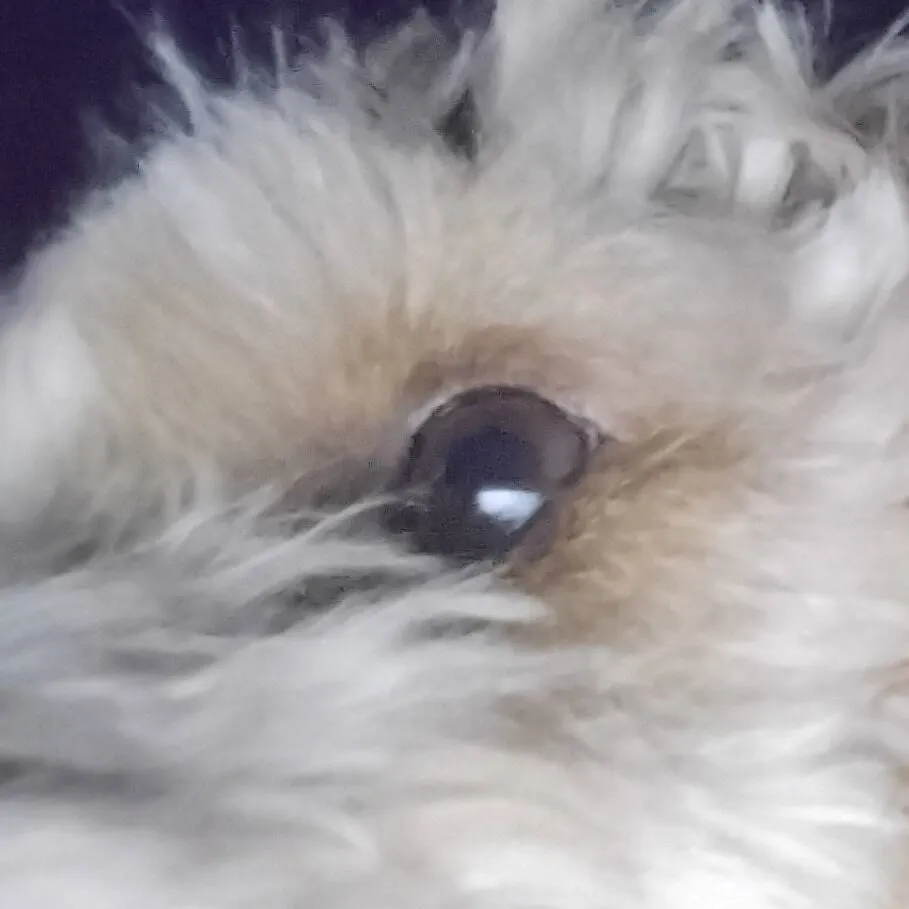 chat with ai character: hogwarts