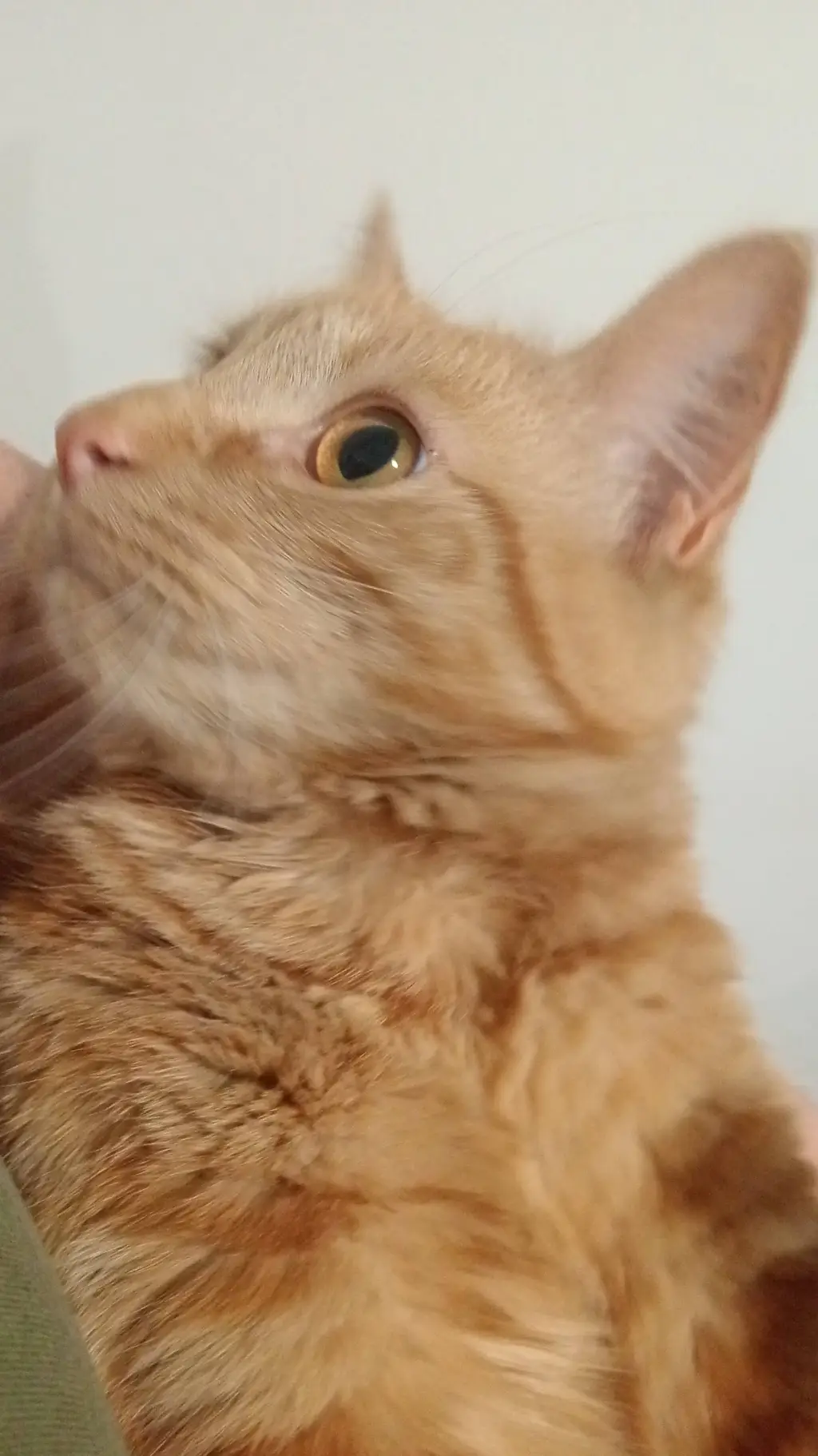 ai character: Kaydens background