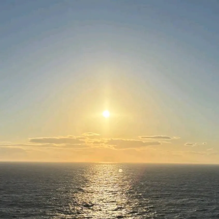 chat with ai character: stranded