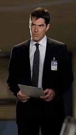 ai character: Aaron Hotchner background