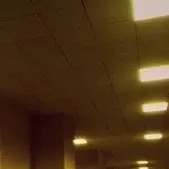 chat with ai character: Backrooms w/ FNAF