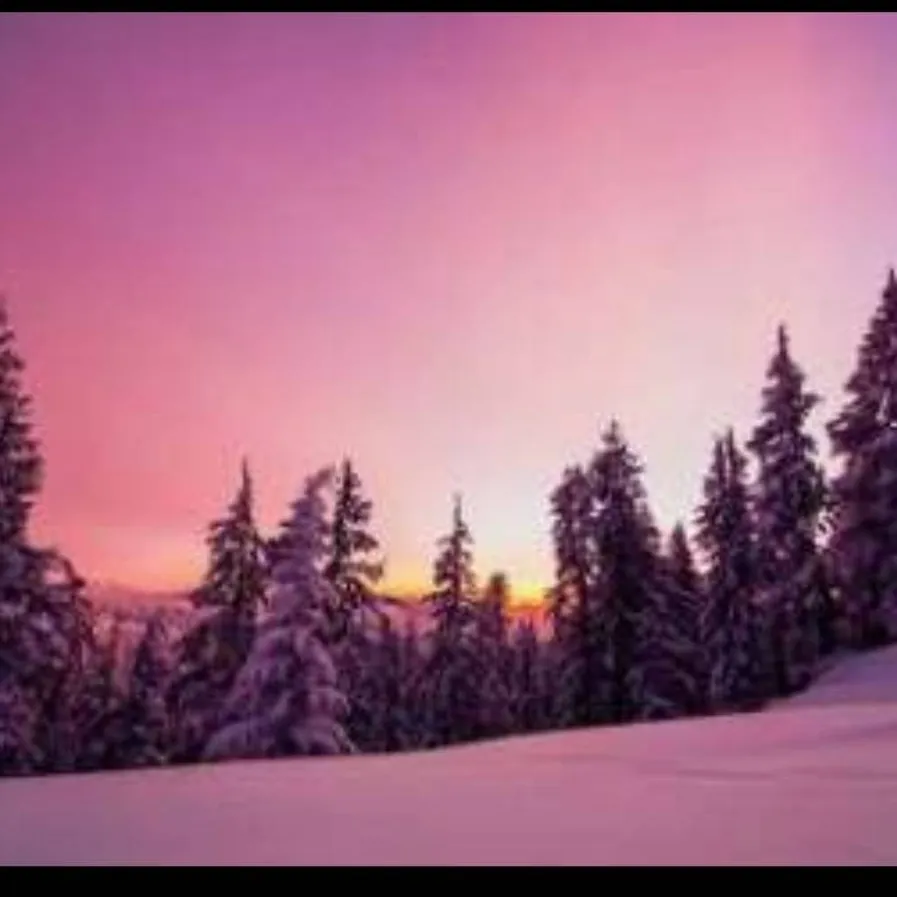 chat with ai character: minx