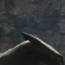 chat with ai character: toothless×hiccup