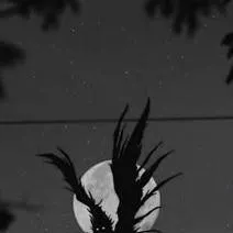 chat with ai character: Death note 