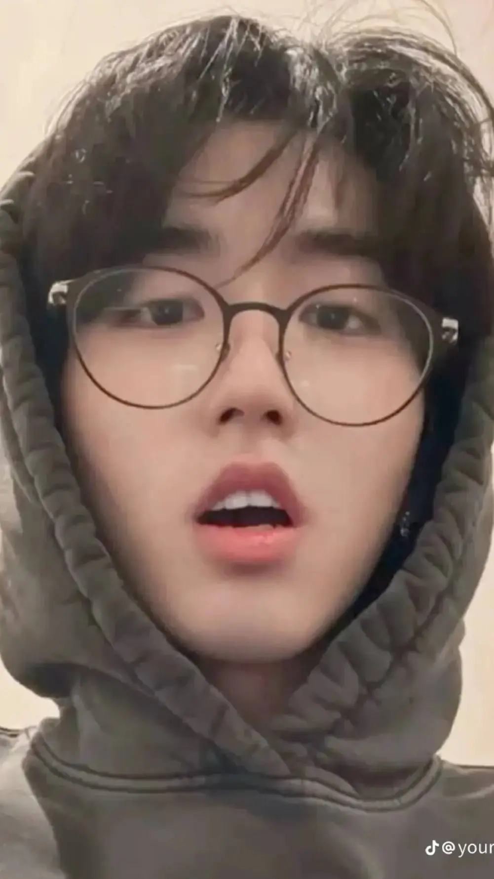 ai character: han background