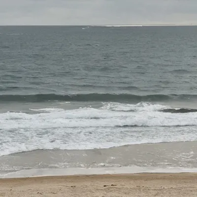 chat with ai character: Obx🫶🏼