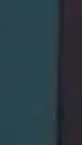 ai character: Bing and Larry background