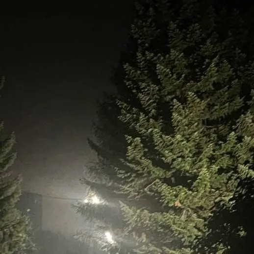 chat with ai character: Kiri-Night Walk