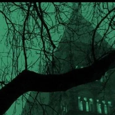 chat with ai character: Slytherin gang