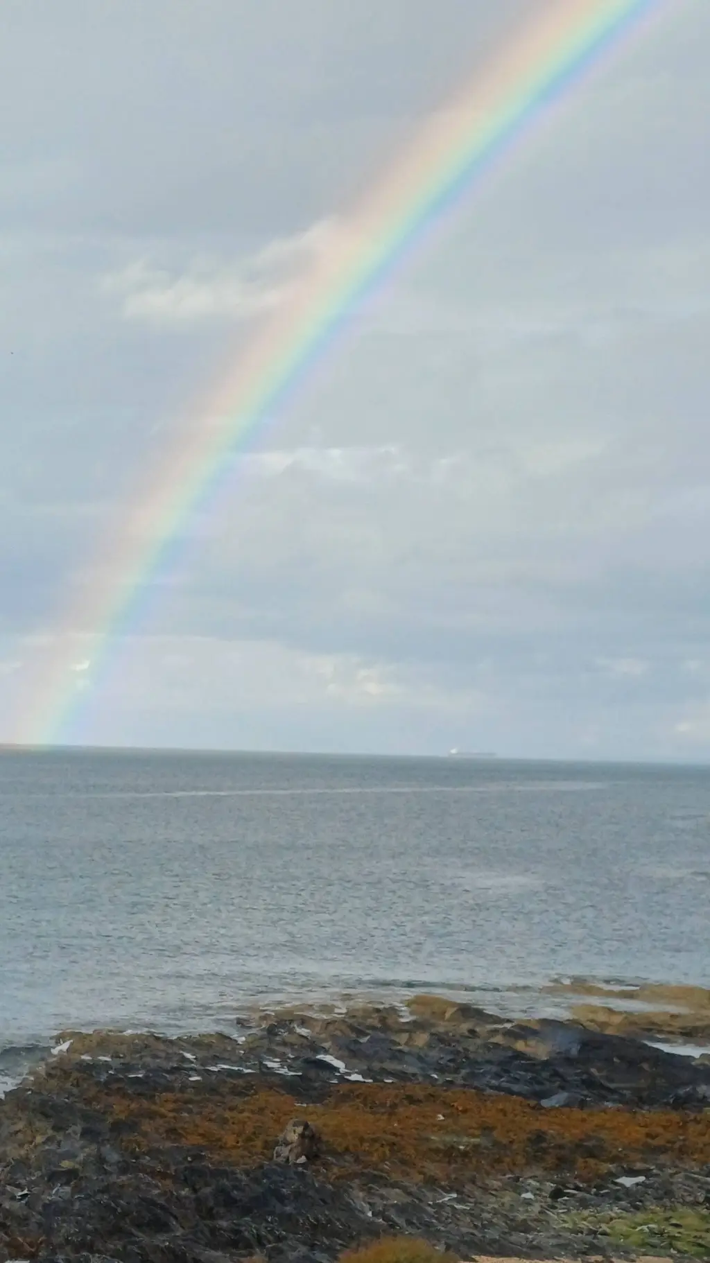 ai character: Listener background