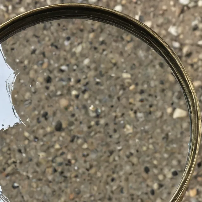 chat with ai character: Rodger 