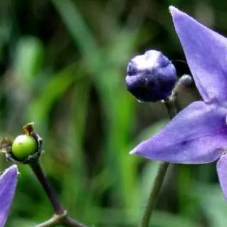 chat with ai character: azure 