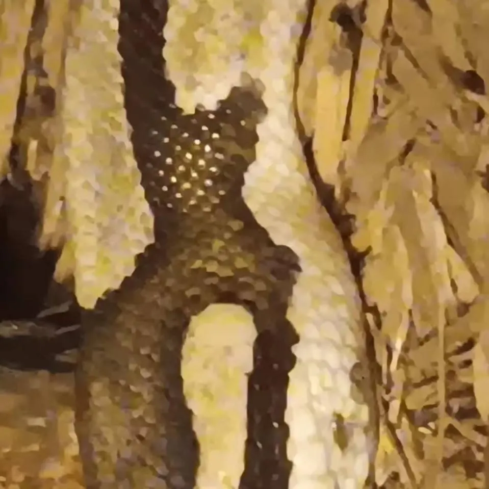 chat with ai character: snake