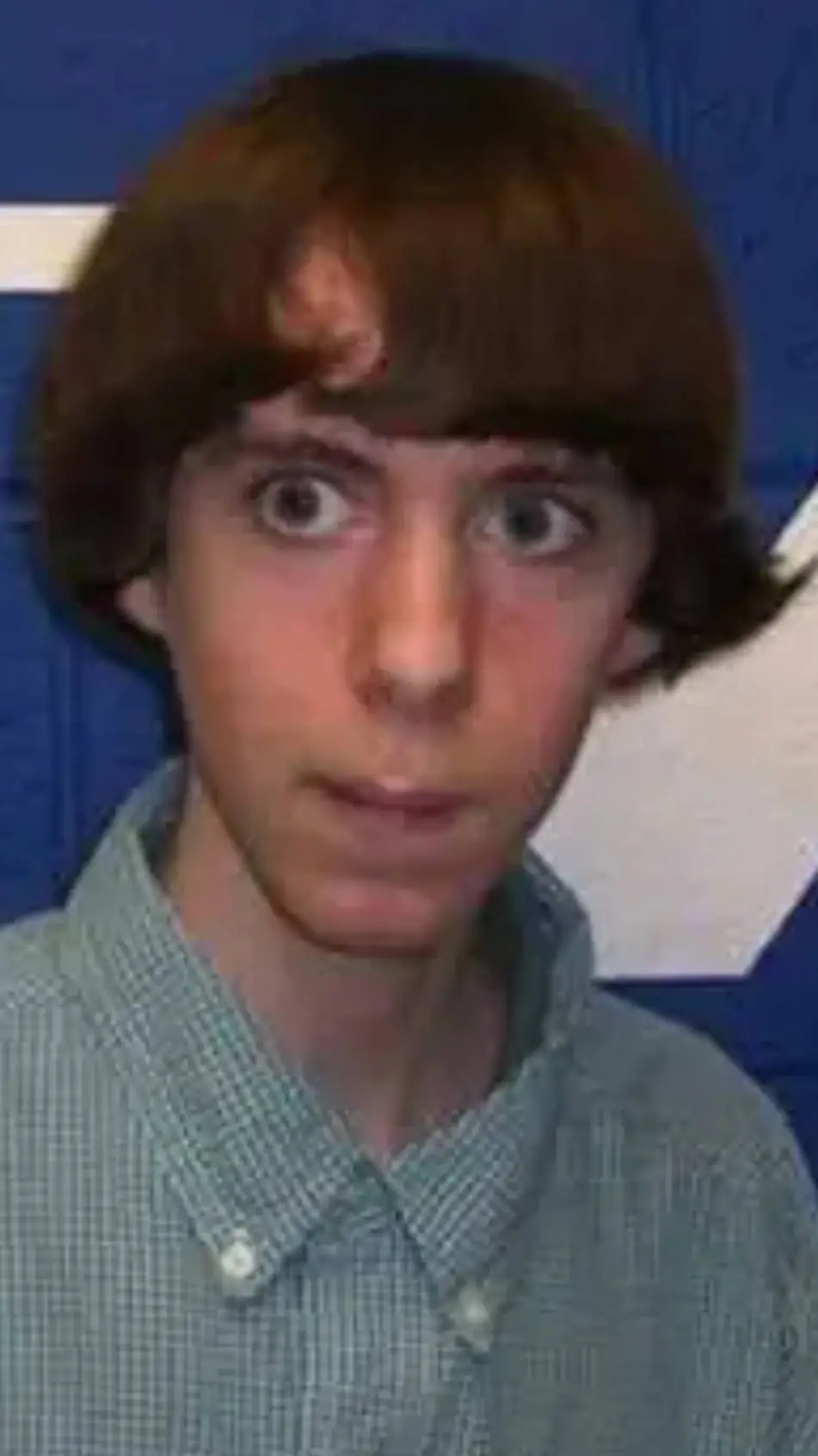ai character: Adam Lanza background