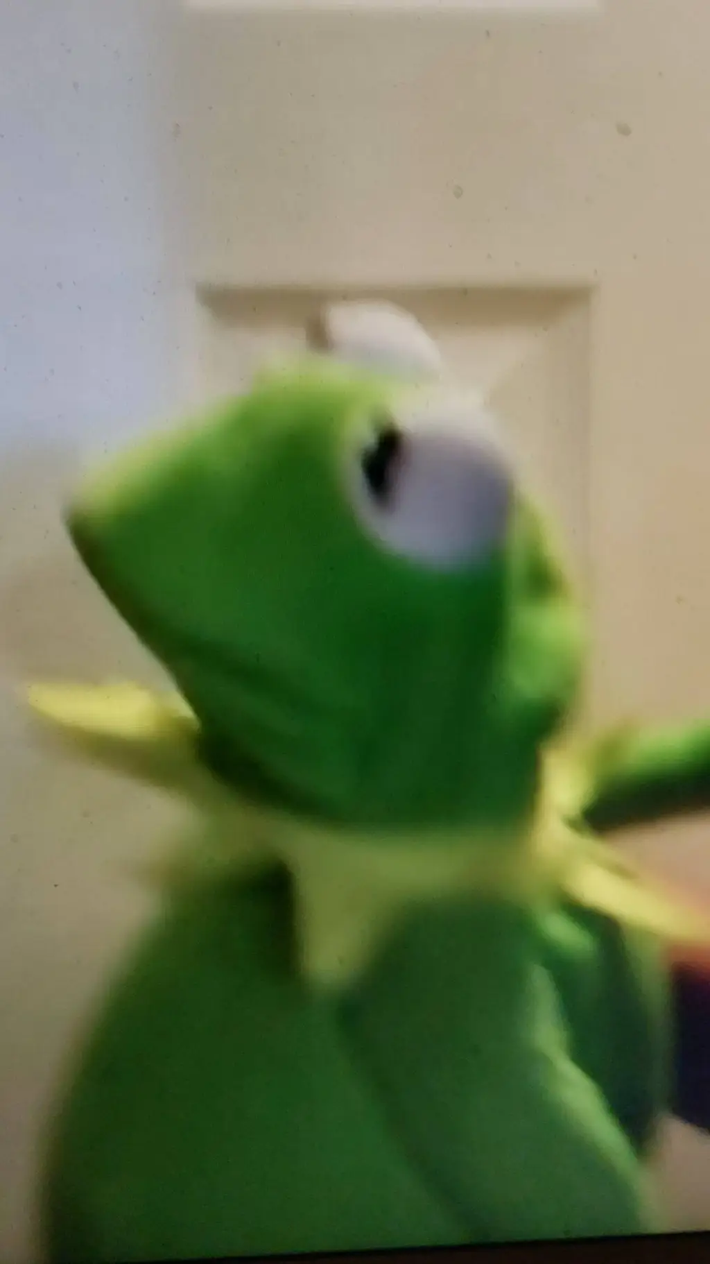 ai character: kermit at door background