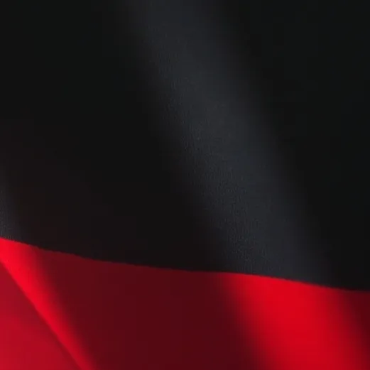 chat with ai character: Germany