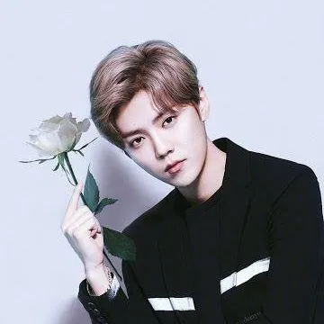 chat with ai character: Luhan