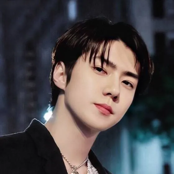 chat with ai character: Sehun