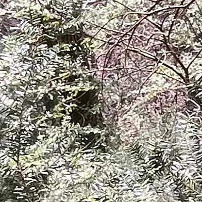 chat with ai character: Update