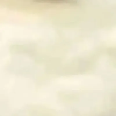 chat with ai character: Meowl