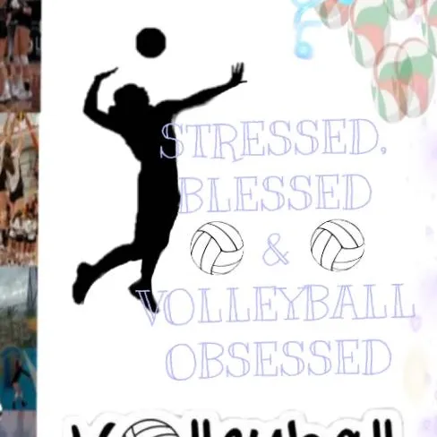 chat with ai character: Volleyball Match