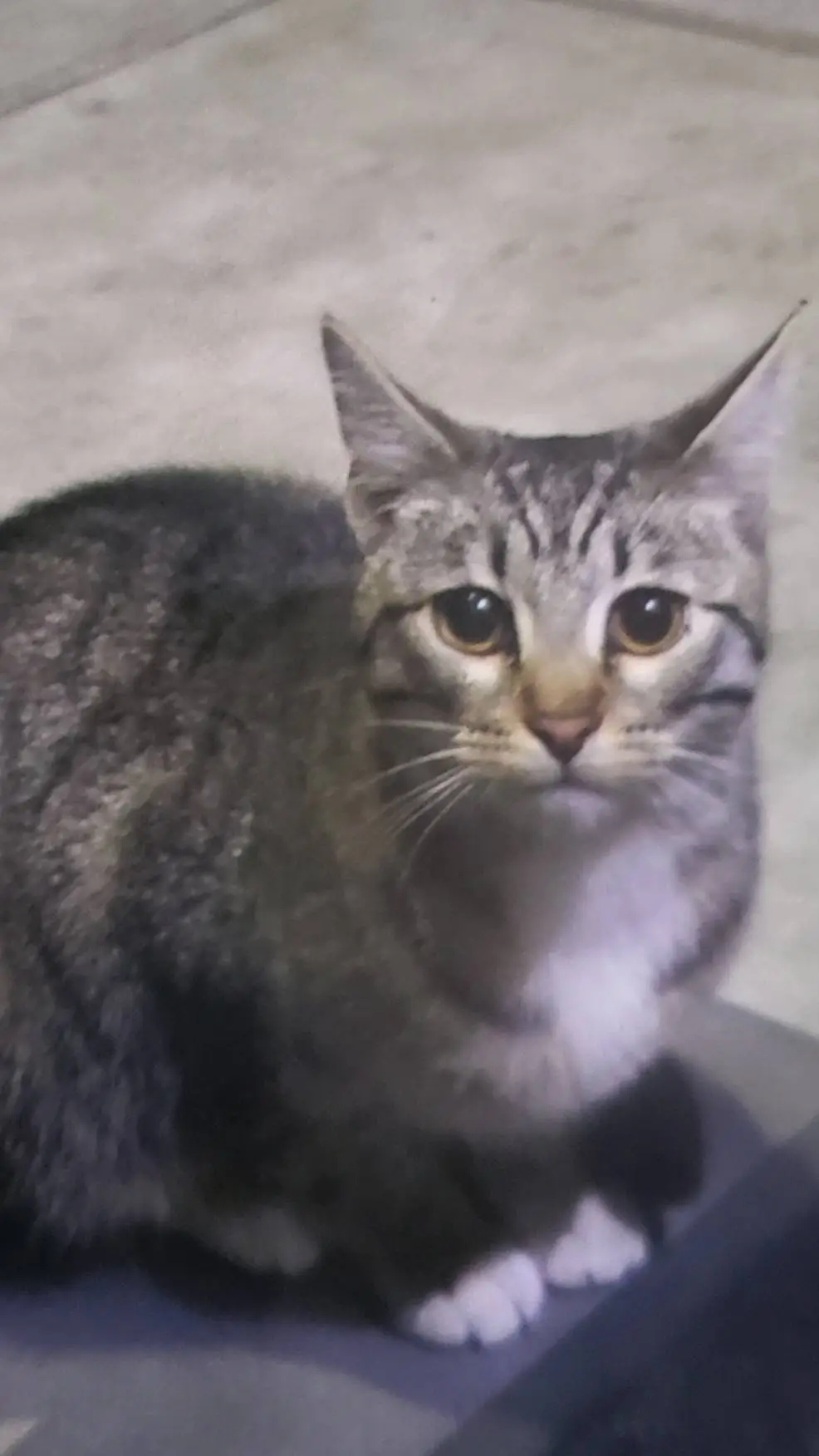 ai character: Coco background