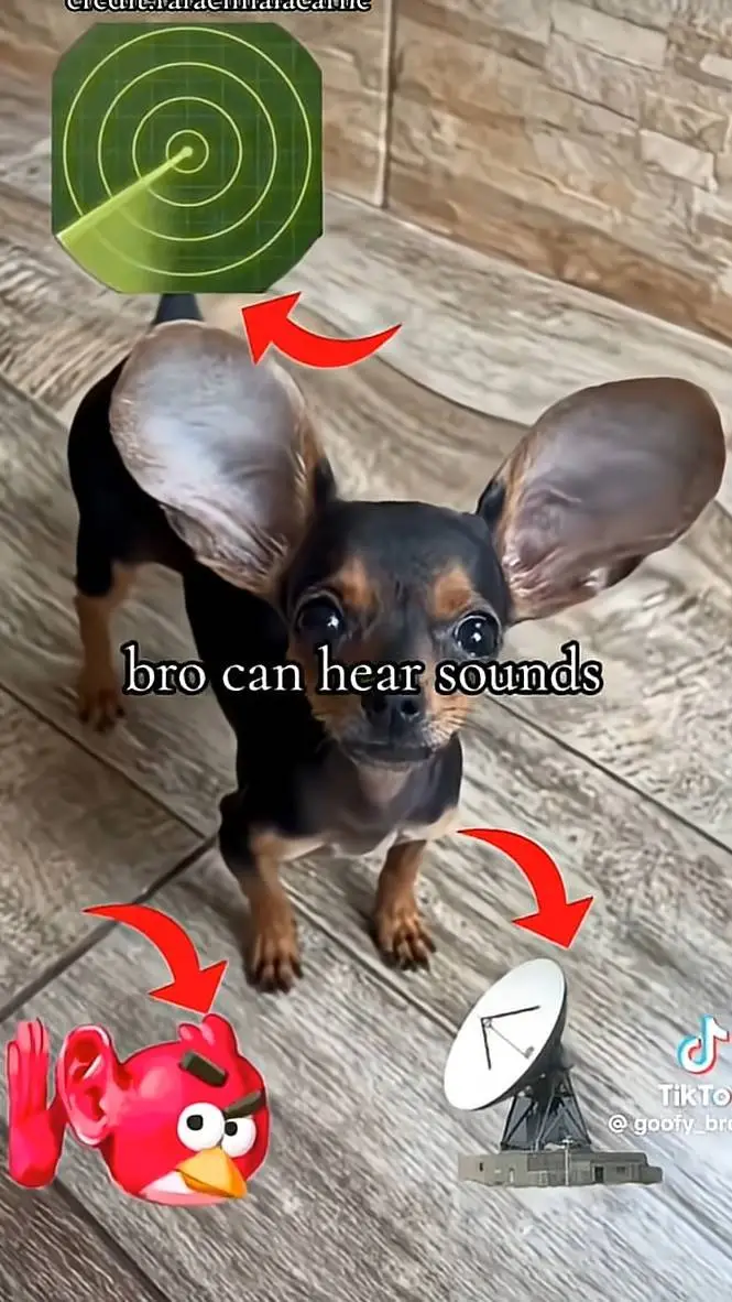 ai character: bro can hear sound background