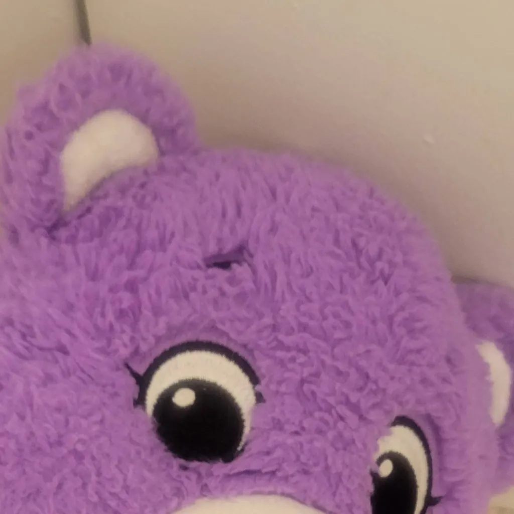 chat with ai character: dried cear bear