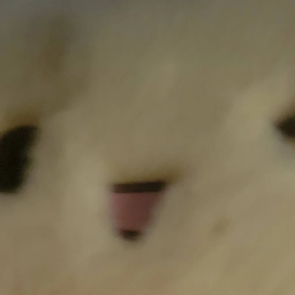 chat with ai character: ORGIN STORY