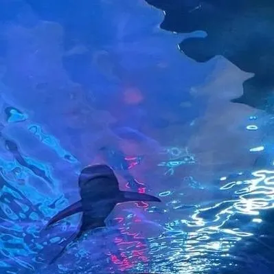 chat with ai character: Sprunki Aquarium