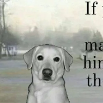 chat with ai character: FireRing-Telamon?!