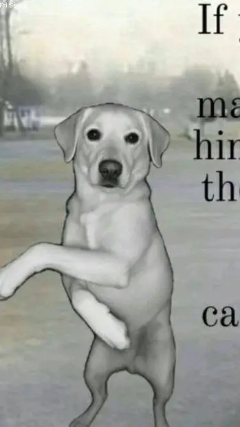 ai character: FireRing-Telamon?! background