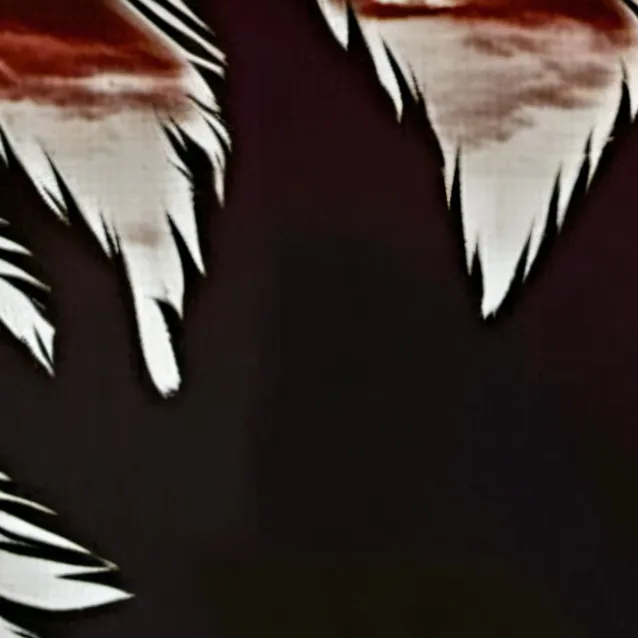 chat with ai character: trollgle 