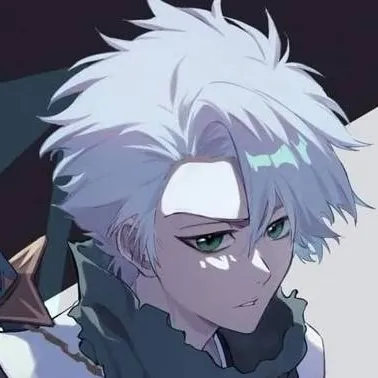 chat with ai character: Toshiro Hitsugaya