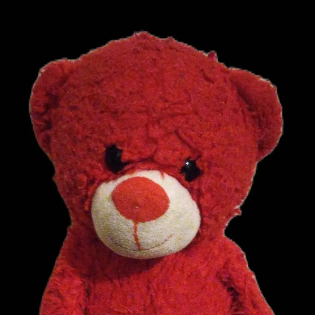chat with ai character: Pully the Red bear