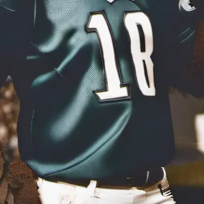 chat with ai character: Swoop the eagle 