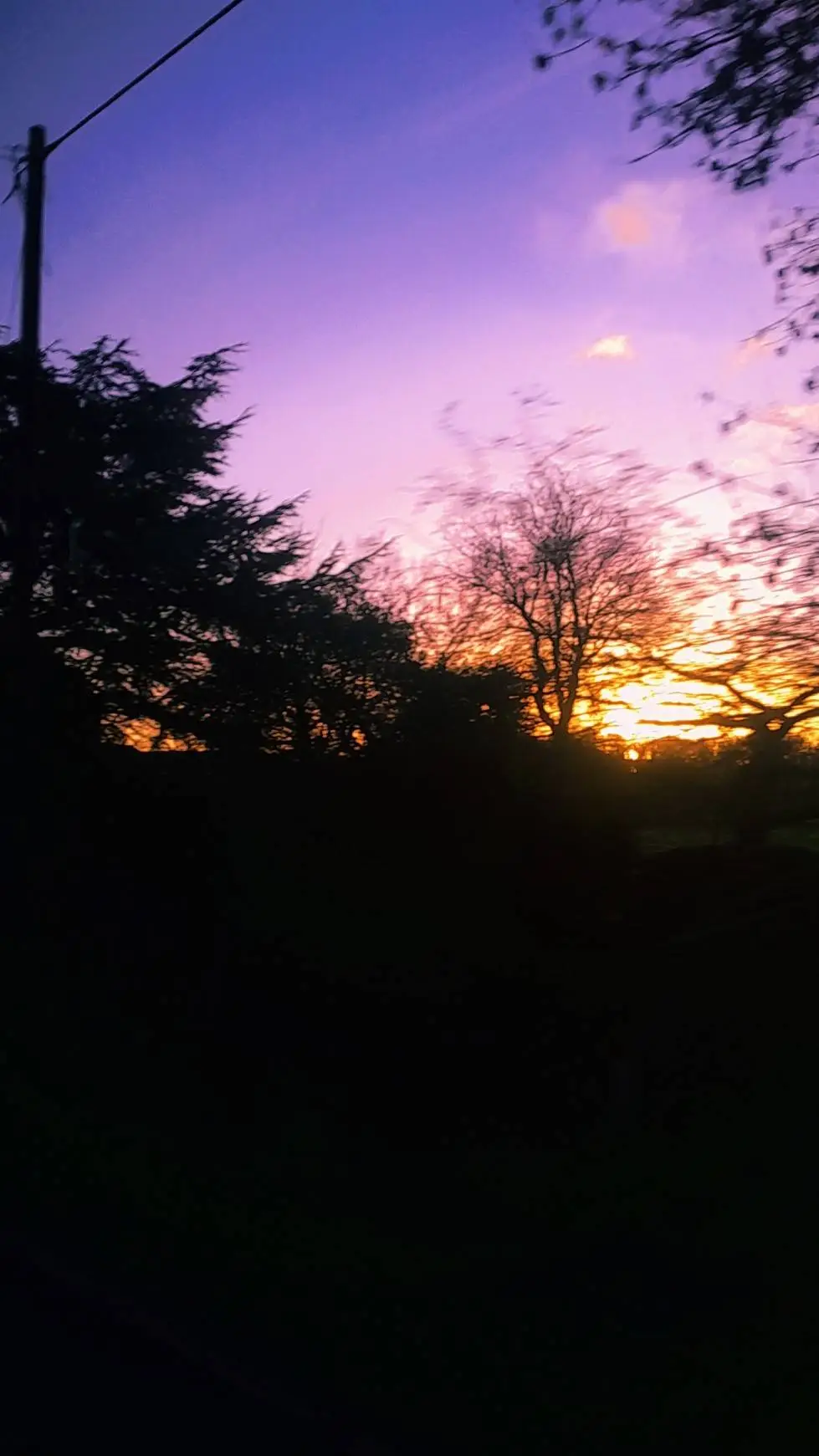 ai character: ✮SKZ CONCERT!✮ background