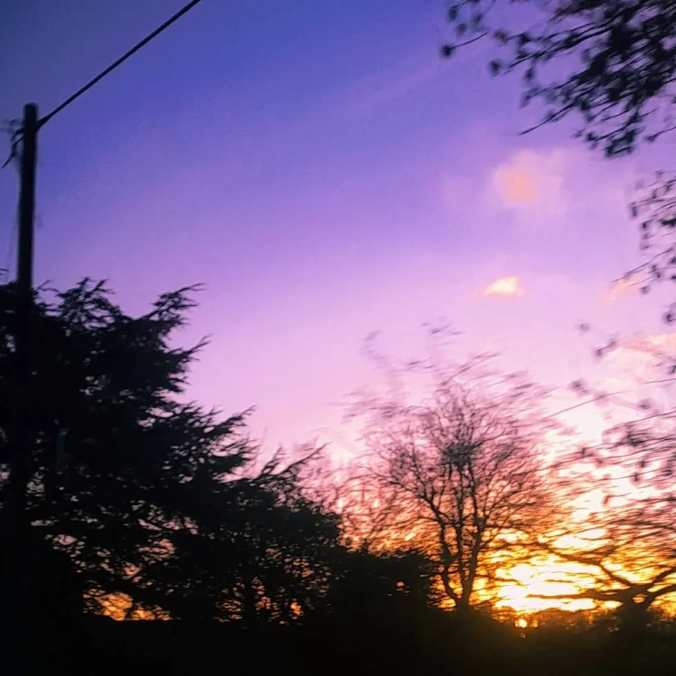 chat with ai character: ✮SKZ CONCERT!✮