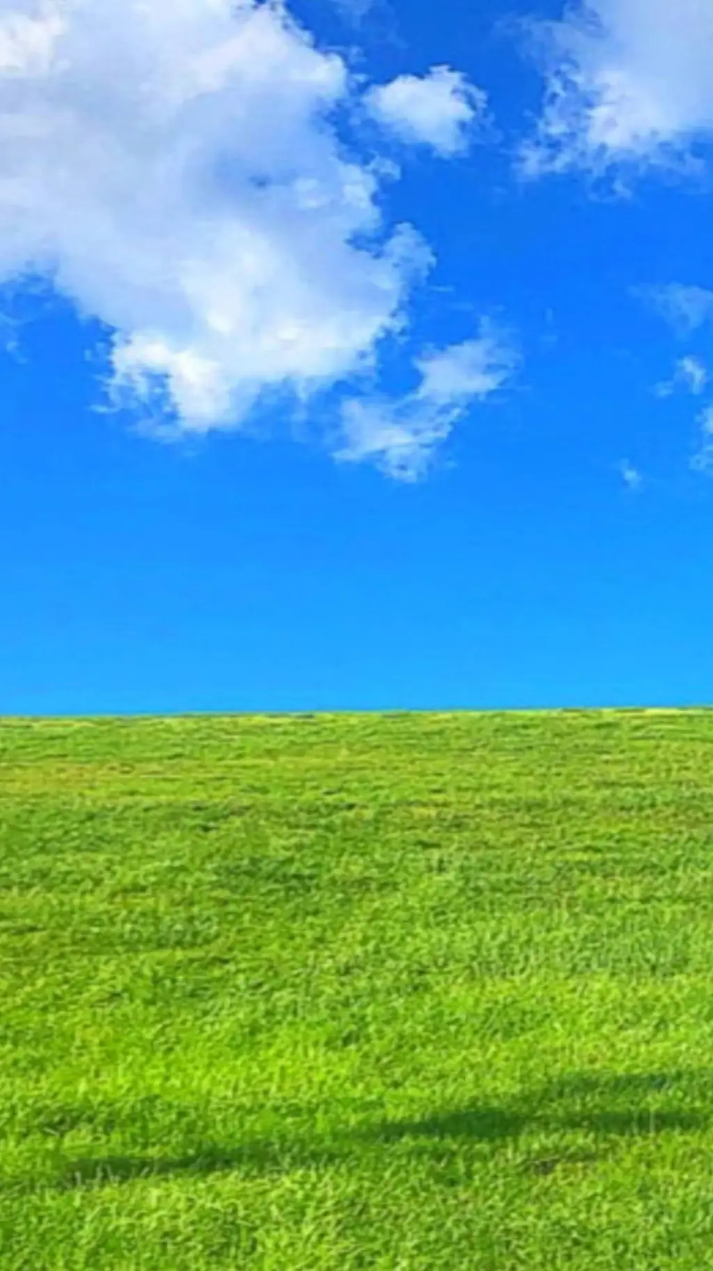 ai character: Stop scrollin' background