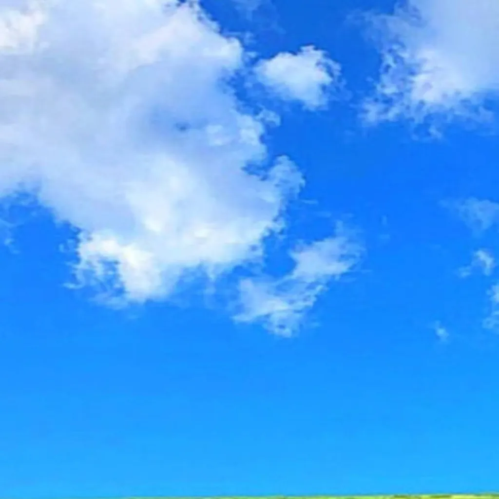 chat with ai character: Stop scrollin'