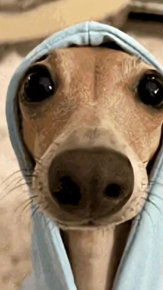 ai character: Cute dog  background