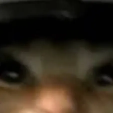 chat with ai character: [ DOUBLEFEDORA ]