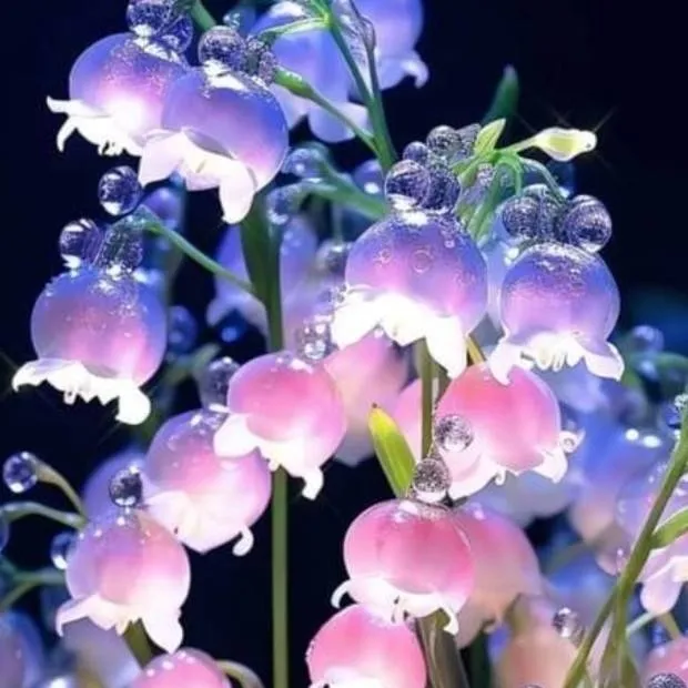 chat with ai character: { DOUBLE FEDORA }