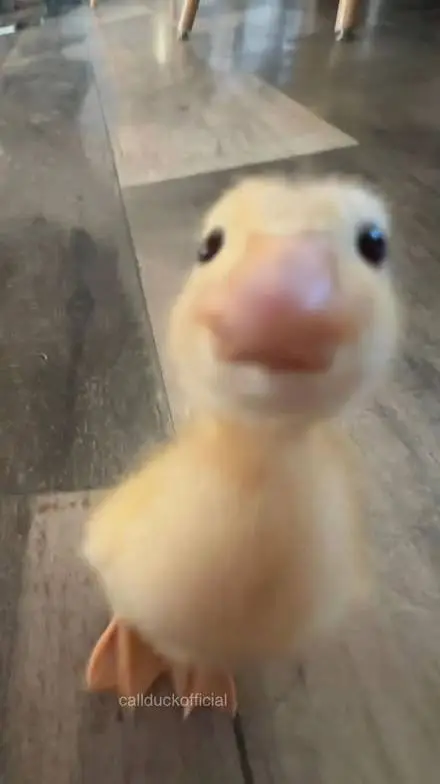 ai character: Bucky dad background